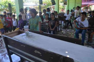  Boy dies from snake bite in Leyte